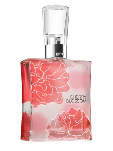 Cherry Blossom