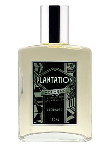 Plantation Cologne - کلن Plantation