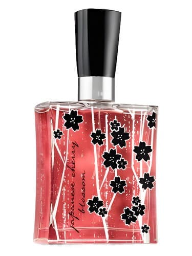 Japanese Cherry Blossom
