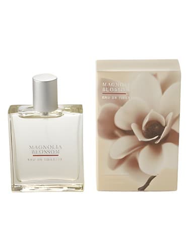 Magnolia Blossom
