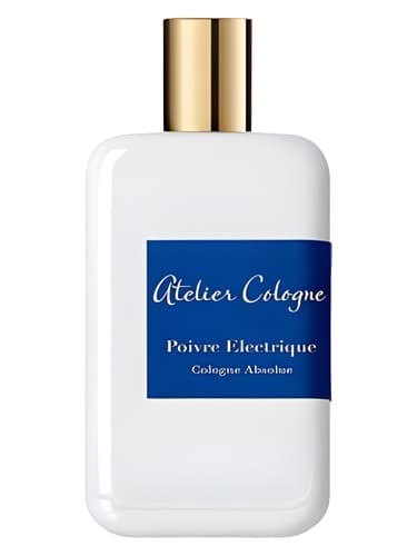 Poivre Electrique - پویور الکتریک