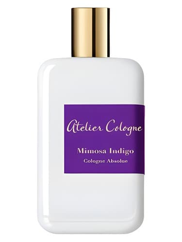 Mimosa Indigo - میموزا نیلی