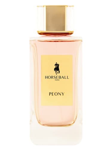 Peony - گل صد تومانی