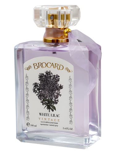 White Lilac Vintage - وینتاژ یاسی وایت