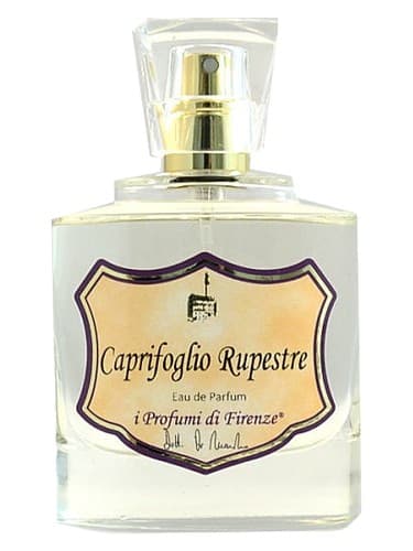 Caprifoglio Rupestre