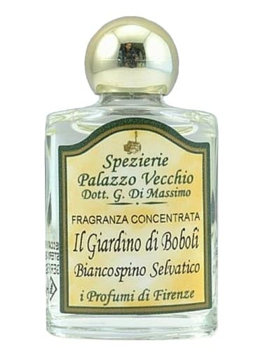 Il Giardino Di Boboli
