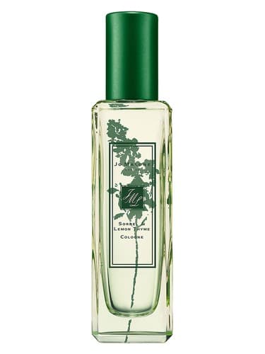 Sorrel & Lemon Thyme - ترشک و آویشن لمون