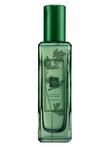 Lavender & Coriander - اسطوخودوس و گشنیز