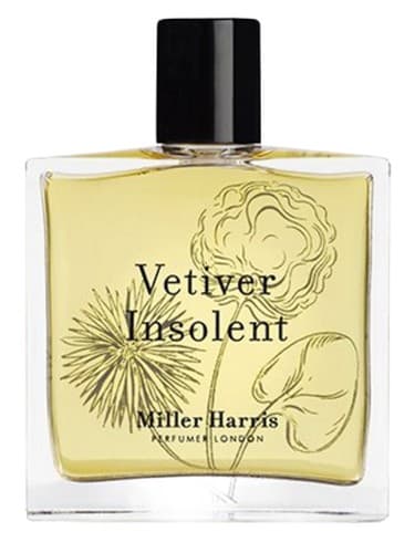 Vetiver Insolent - وتیور گستاخ