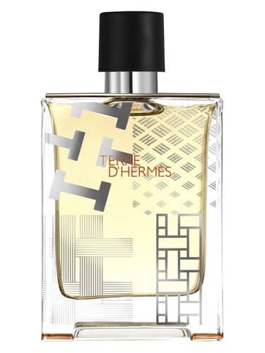 Terre d'Hermes Flacon H 2016 Eau de Toilette - ادو تویلت Terre d'Hermes Flacon H 2016