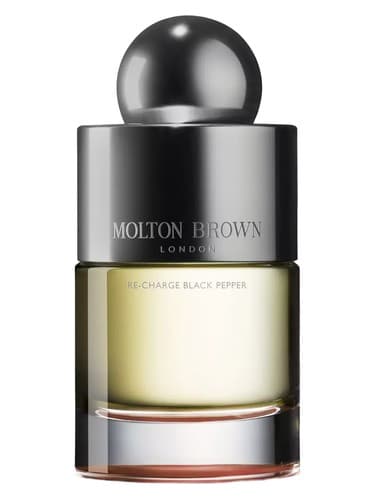 Re-charge Black Pepper - فلفل بلک را دوباره شارژ کنید