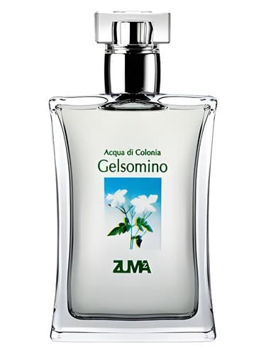 Gelsomino