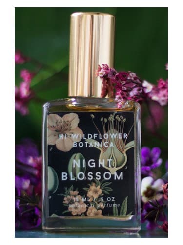 Night Blossom - شکوفه نایت