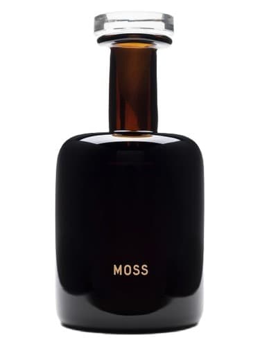 Moss - خزه