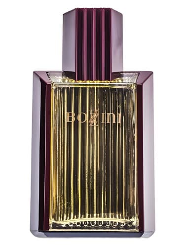 Bozzini - بوزینی