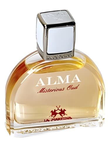 Alma Colecion Privada Misterious Oud 