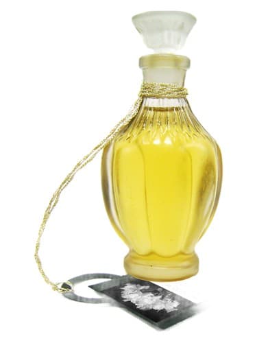 Narcisse Dark - نارسیس دارک