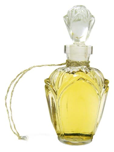 Gardenia - گاردنیا