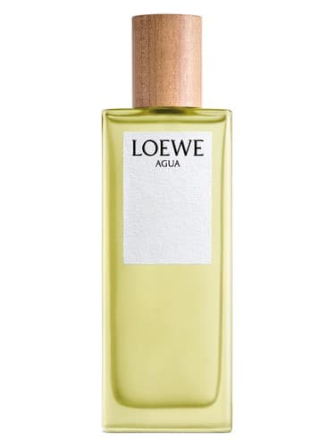 Agua de Loewe - آگوا دی لوو