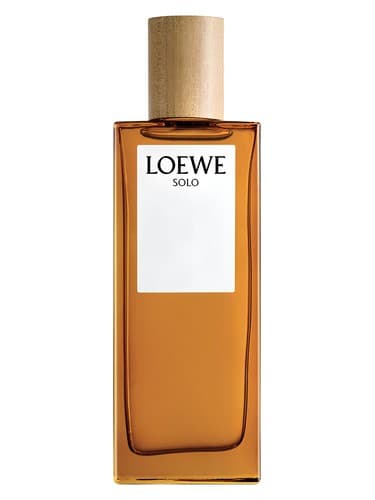 Solo Loewe - سولو لوو
