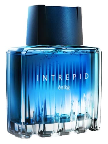 Intrepid - بی باک