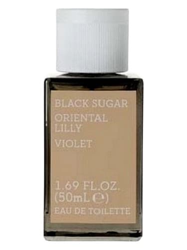 Black Sugar Oriental Lily Violet - بنفشه زنبق شرقی شکر بلک