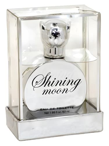 Shining Moon