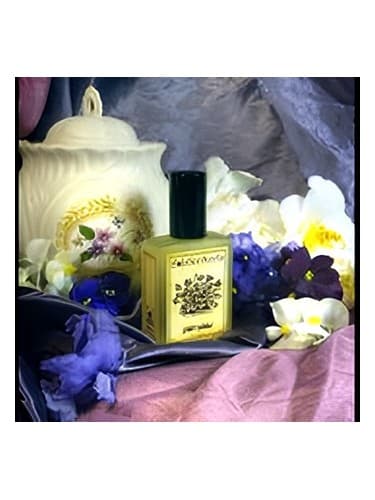 Violet Mallow - گل خطمی وایولت