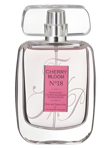 Cherry Bloom N°18 - شکوفه چری شماره 18