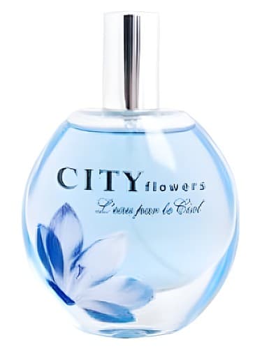 L'eau par le Ciel 
