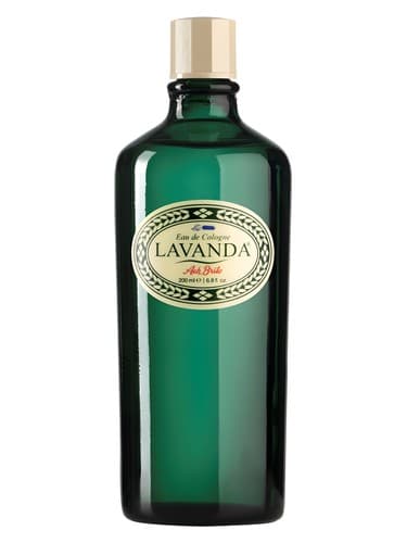 Lavanda - لاواندا