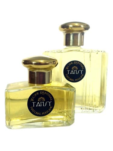 Tansy - تانسی