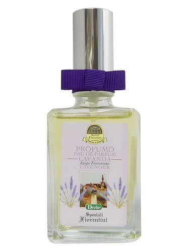 Lavanda - لاواندا