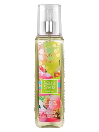 Sweet Paradise - بهشت سوییت