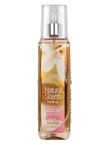 Royal Vanilla - رویال وانیلا