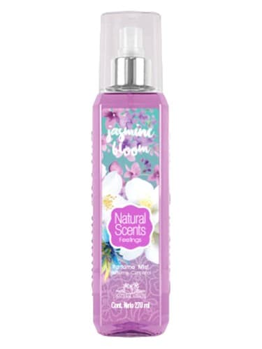 Jasmine Bloom - یاسمین بلوم