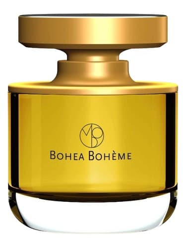 Bohea Bohème