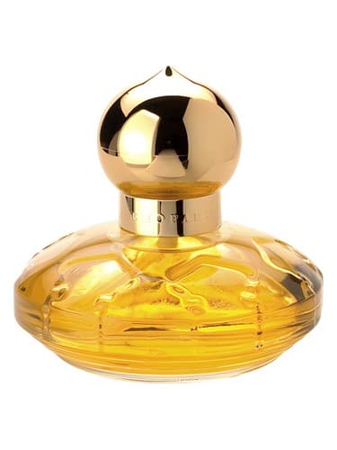 Casmir Summer Breeze - نسیم تابستانی کاسمیر