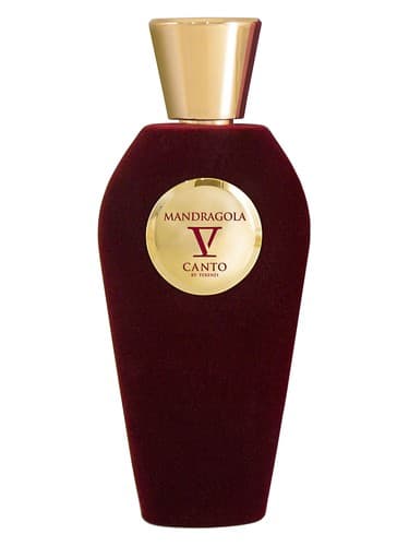 Mandragola - ماندراگولا