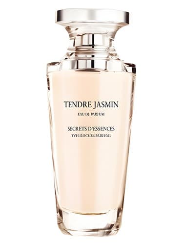 Tendre Jasmin - تندره یاسمین