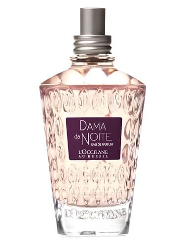 Dama da Noite
