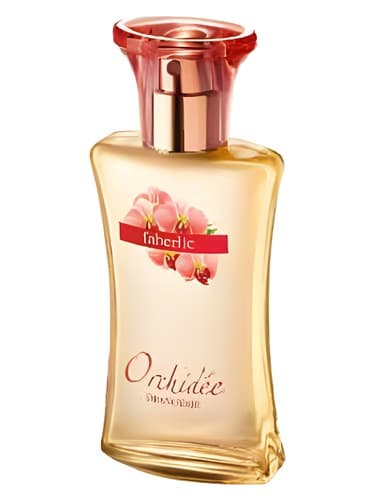 Orangerie Orchidee 