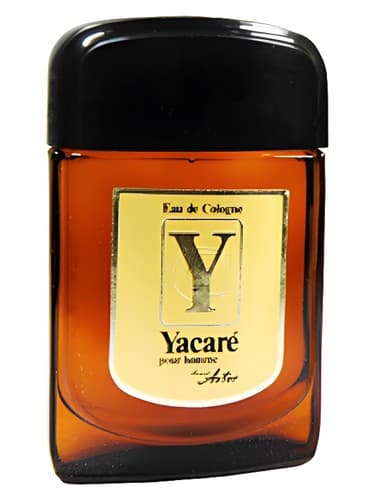 Yacaré - یاکاره