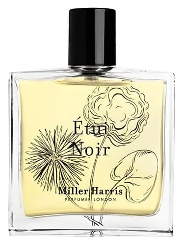 Étui Noir 