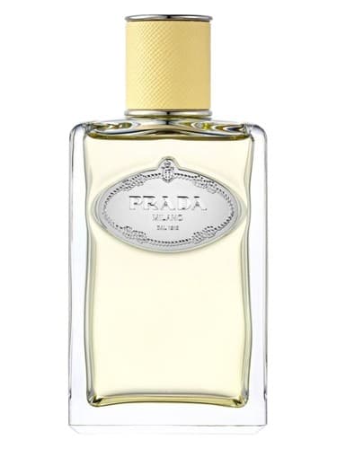 Infusion de Mimosa - تزریق میموزا