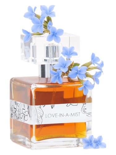 Love-In-A-Mist - لاو در مه