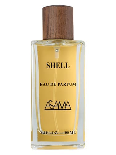 Shell - پوسته
