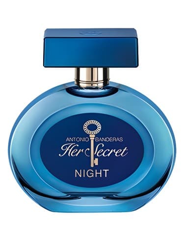 Her Secret Night