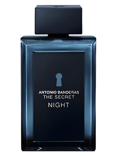 The Secret Night