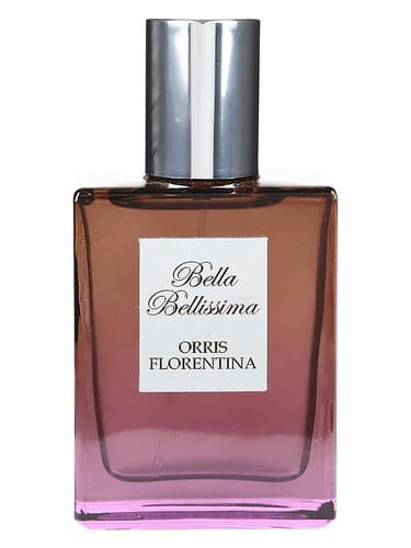 Orris Florentina